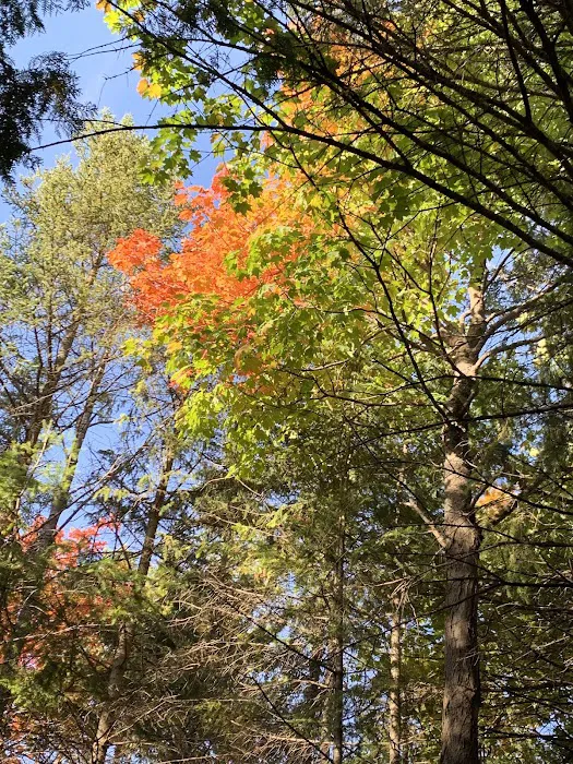St Ignace KOA 6