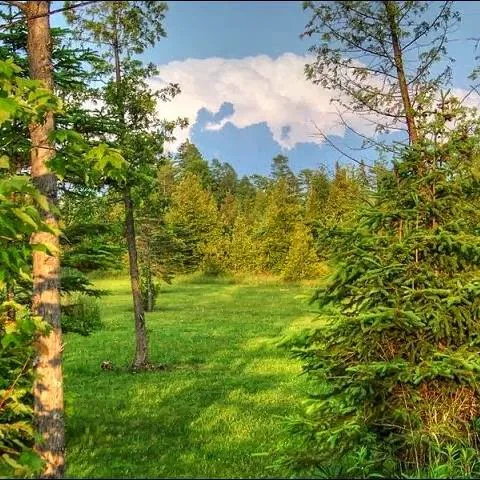 Mackinaw Mill Creek Camping 4