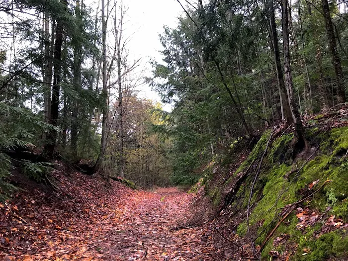 Fort Superior Campground 6