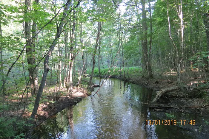Magical Woods-Munising, MI 6