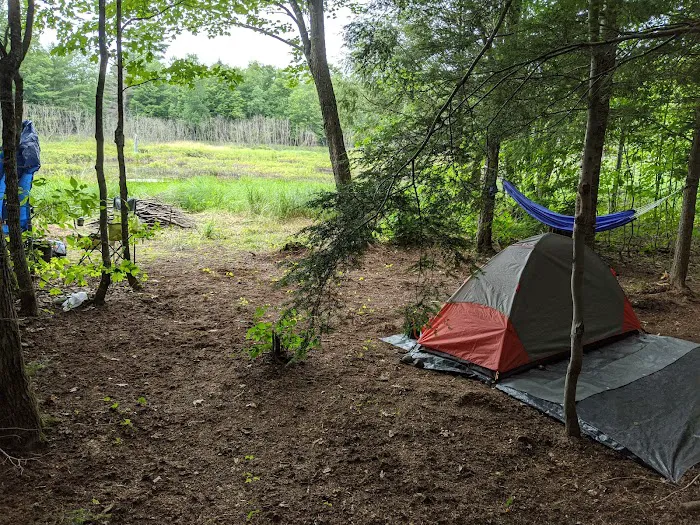 Magical Woods-Munising, MI 5