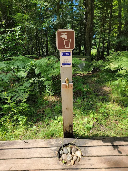 Juniper Flats Group Campsite 4