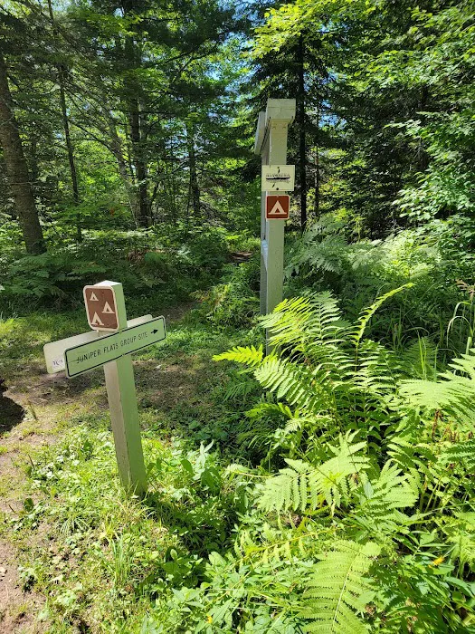 Juniper Flats Group Campsite 6