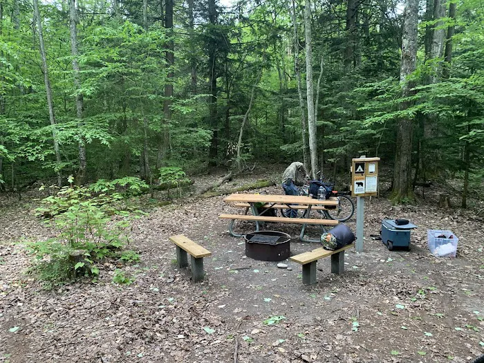 Hardwood Campsite On Grand Island 5