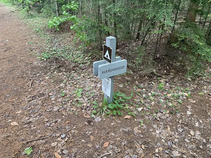 Hardwood Campsite On Grand Island 4
