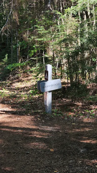 Hardwood Campsite On Grand Island 2
