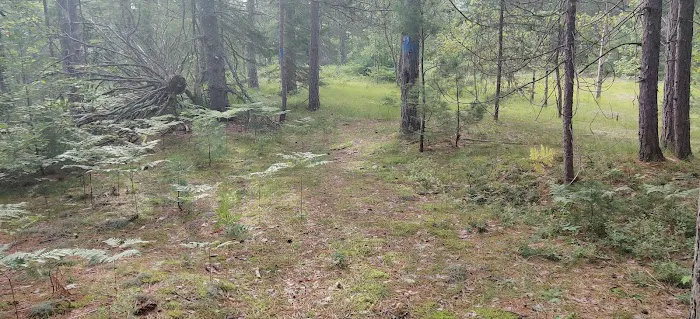 Fox River State Forest Campground 5