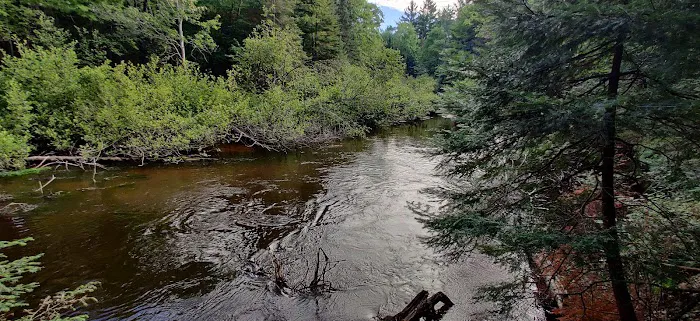 Fox River State Forest Campground 4