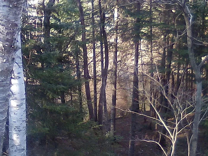 Fox River State Forest Campground 6