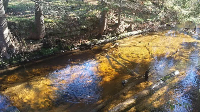 East Branch of the Fox River State Forest Campground 6
