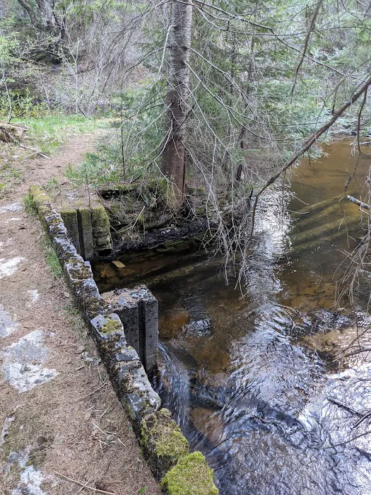 East Branch of the Fox River State Forest Campground 8