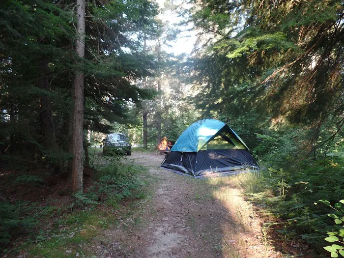 East Branch of the Fox River State Forest Campground 9