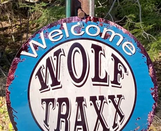 Andy’s Wolf Traxx