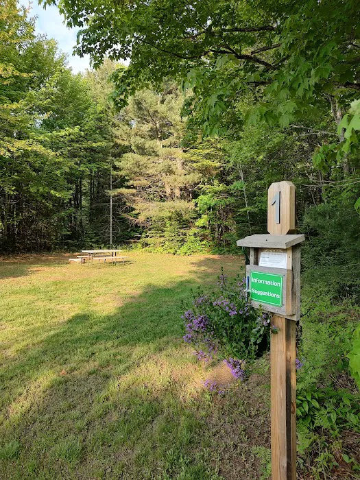 High Swamp Camp 0