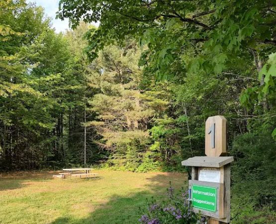 High Swamp Camp