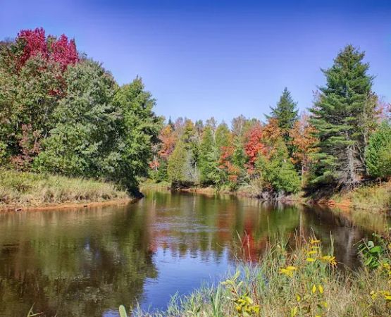 Mead Creek State Forest Campground