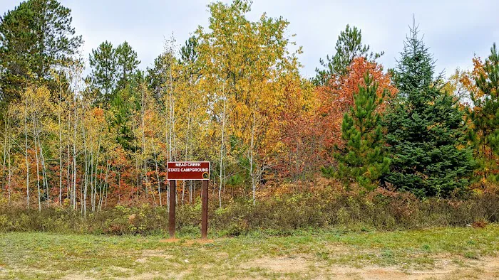 Mead Creek State Forest Campground 5