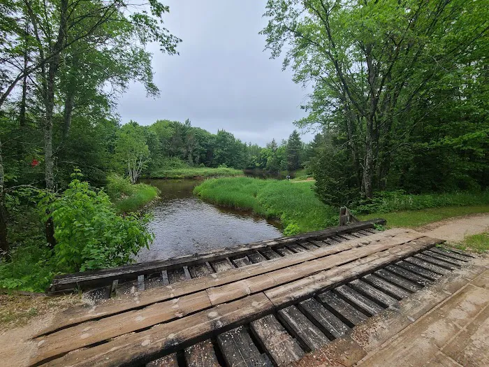 Mead Creek State Forest Campground 8