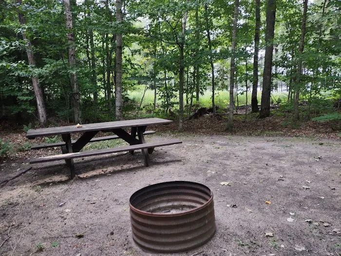 Bass Lake State Forest Campground (Luce) 1