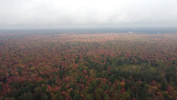 Cusino Lake State Forest Campground 3