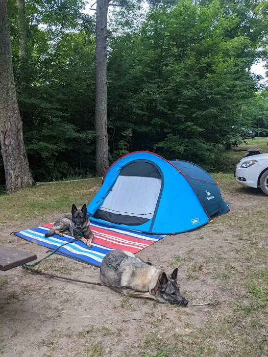 Ross Lake State Campground 4
