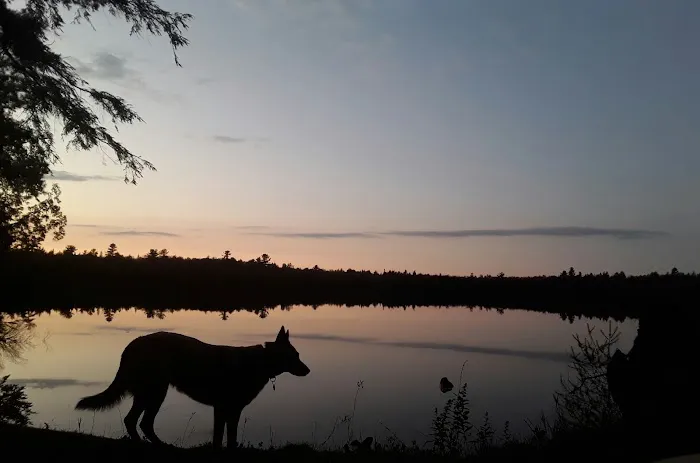 Canoe Lake State Forest Campground 4
