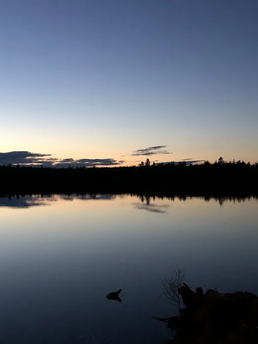 Canoe Lake State Forest Campground 8