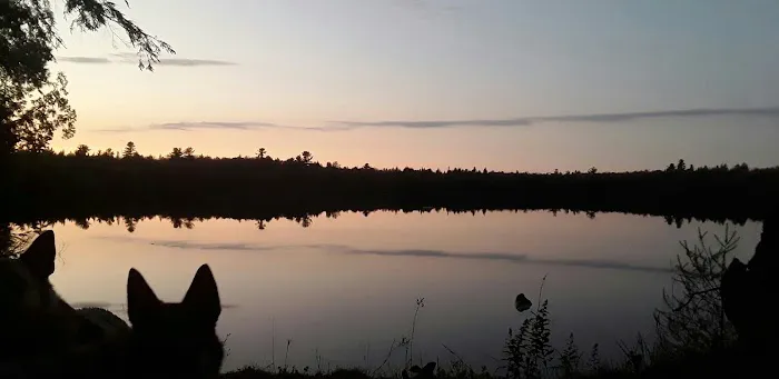 Canoe Lake State Forest Campground 7