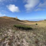 Masse Homestead Campground