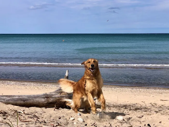 Lake Superior State Forest Campground 8