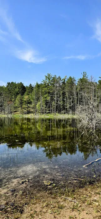 Holland Lake State Forest Campground 5