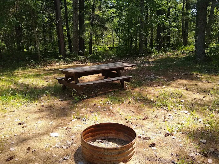 Holland Lake State Forest Campground 8