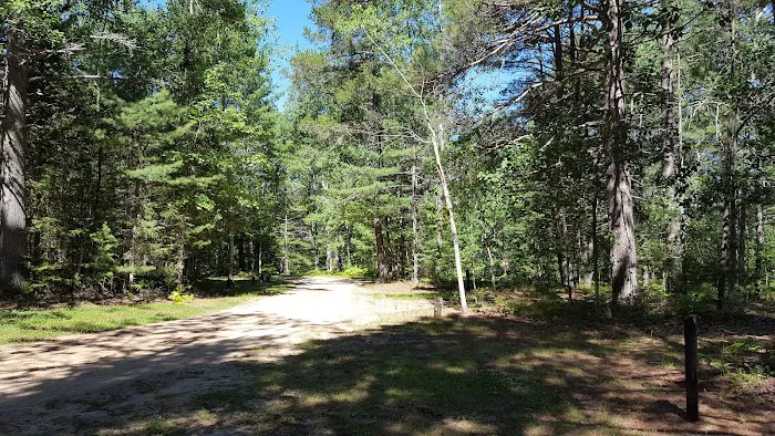 Holland Lake State Forest Campground 4