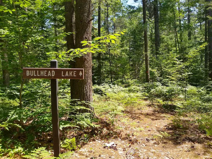 Pretty Lake State Forest Campground 2