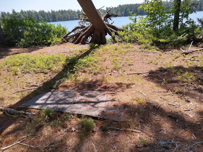 Pretty Lake State Forest Campground 7