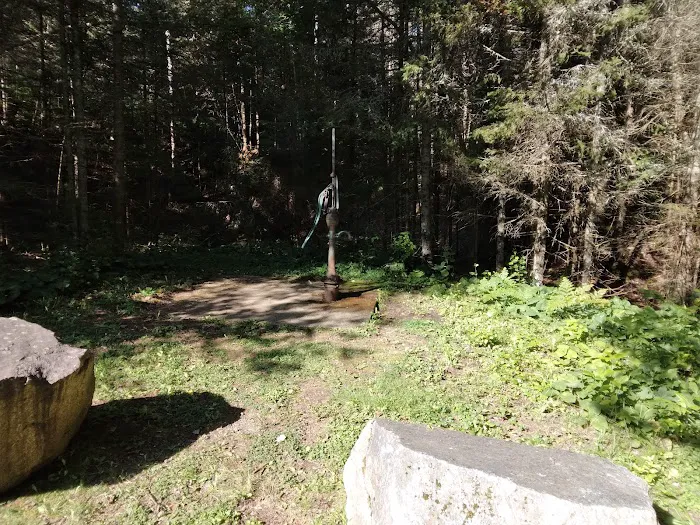 Moose Rapids Campground 7