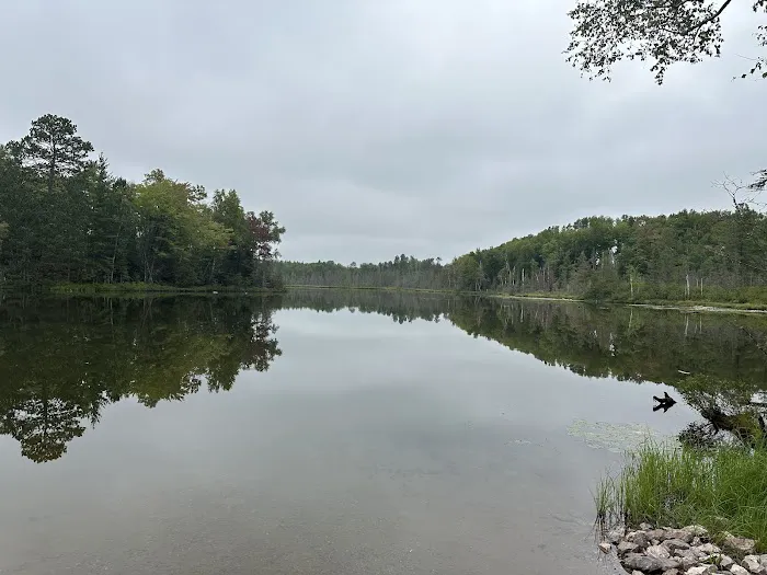 Horseshoe Lake State Forest Campground 1
