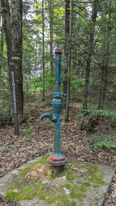 Horseshoe Lake State Forest Campground 4