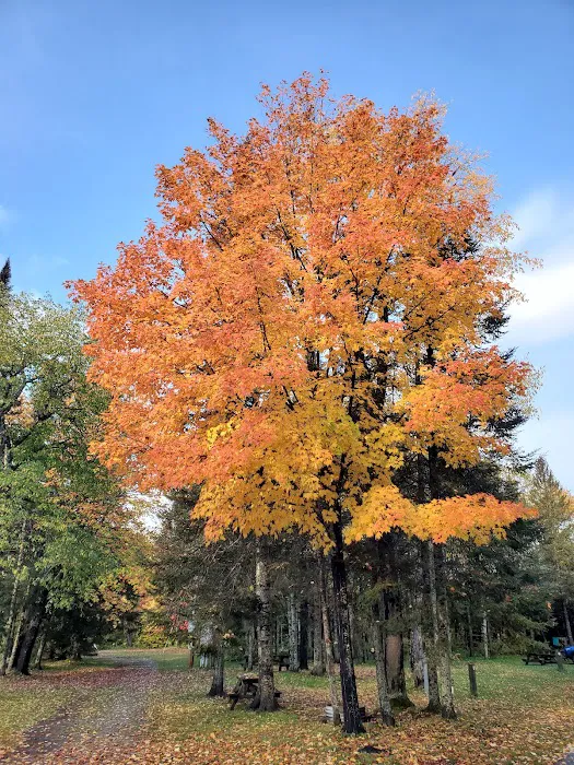 Michigamme Shores Campground 4