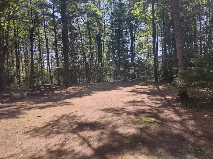 Anderson Lake West State Forest Campground 1
