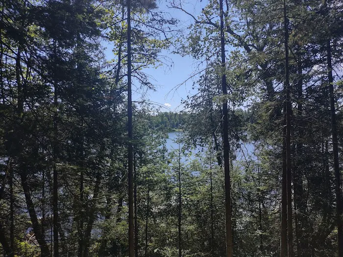 Anderson Lake West State Forest Campground 5