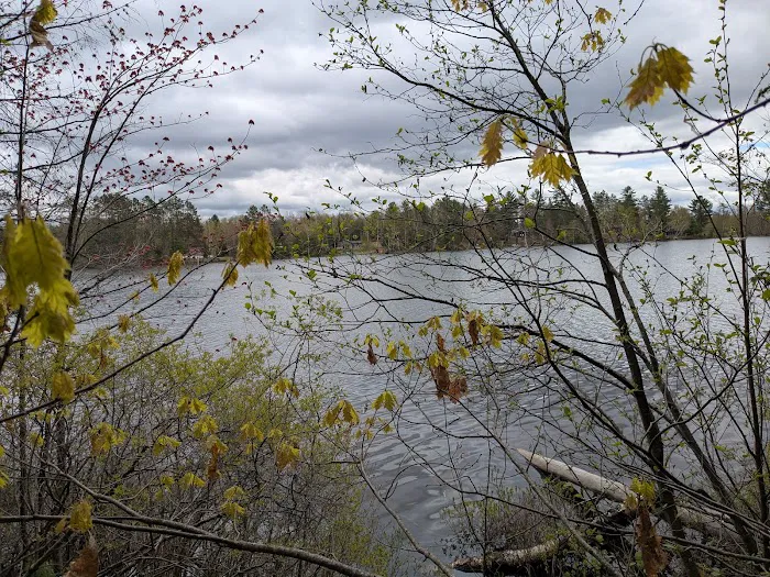 Anderson Lake West State Forest Campground 9