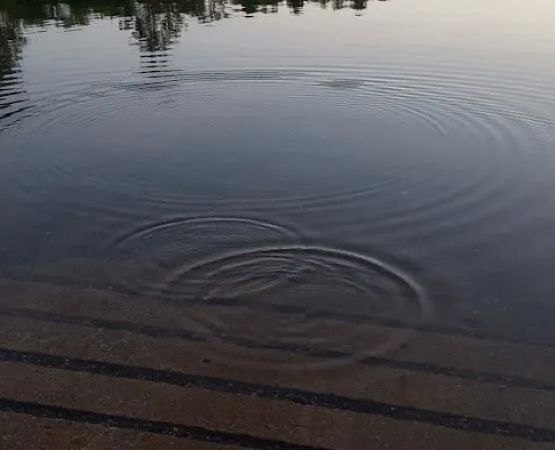 Bass Lake State Forest Campground