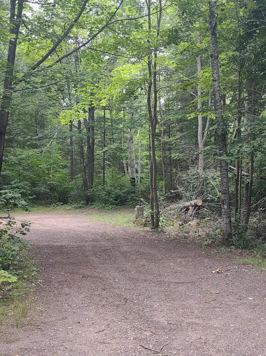 Bass Lake State Forest Campground 3
