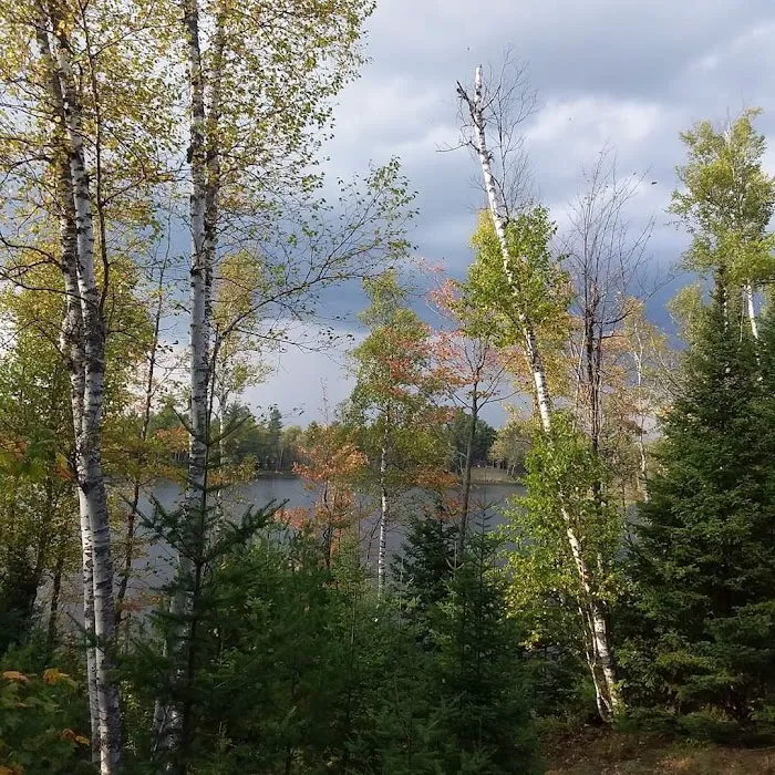 Bass Lake State Forest Campground 9