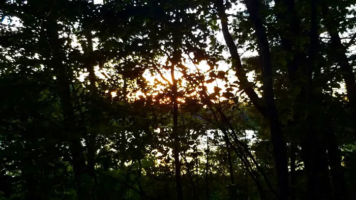 Hovey Lake Campground 7