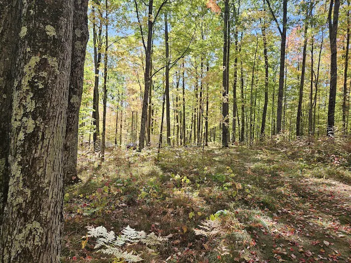 Chalk Hills Campground 9