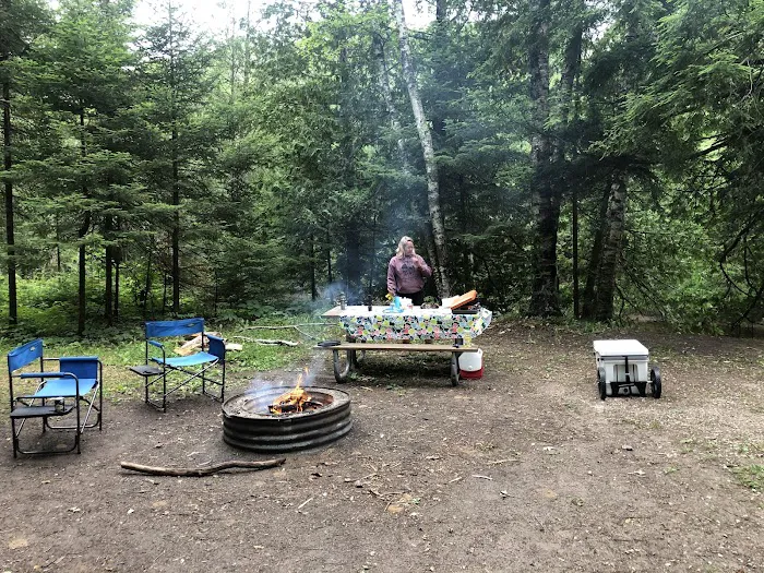 Cedar River North State Forest Campground 3