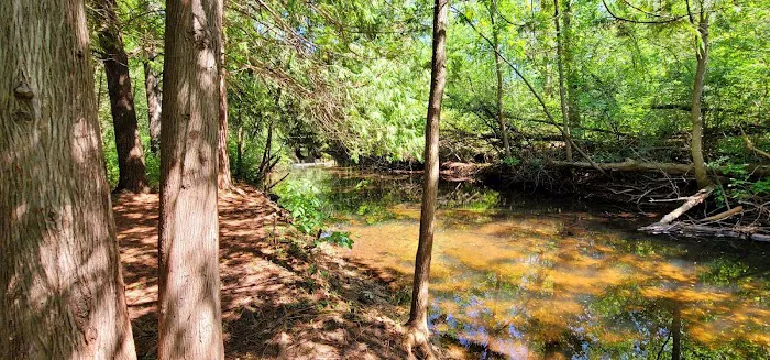 Evergreen Park & Campground 2
