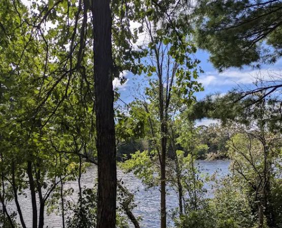 Sturgeon Bend Campground